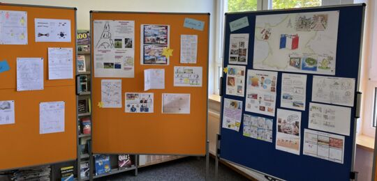 Bild-Vorschau