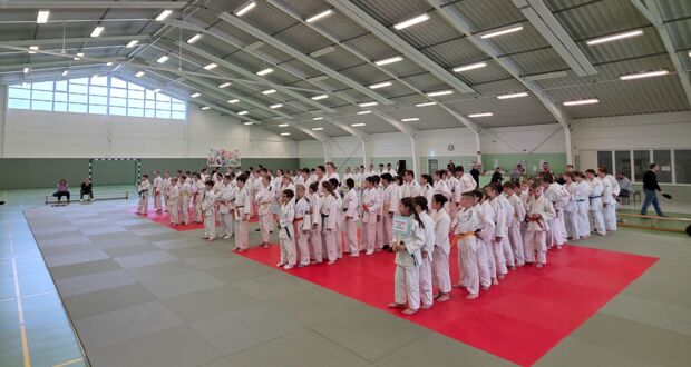 Respektabler 3. Platz beim Landesentscheid Judo