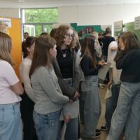 Bild-Vorschau