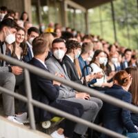 Bild-Vorschau