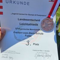 Bild-Vorschau