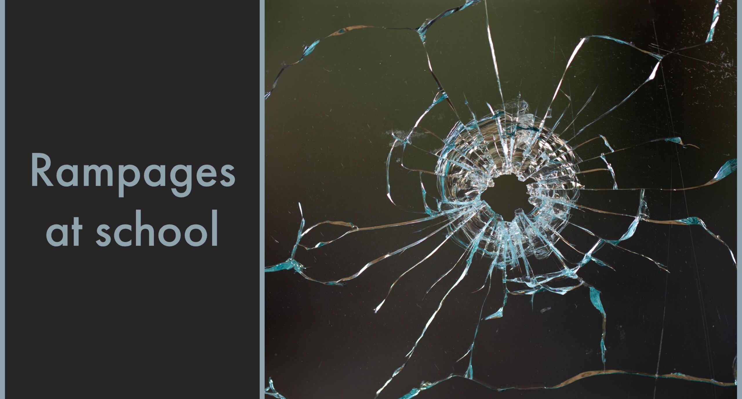 Rampages at schools