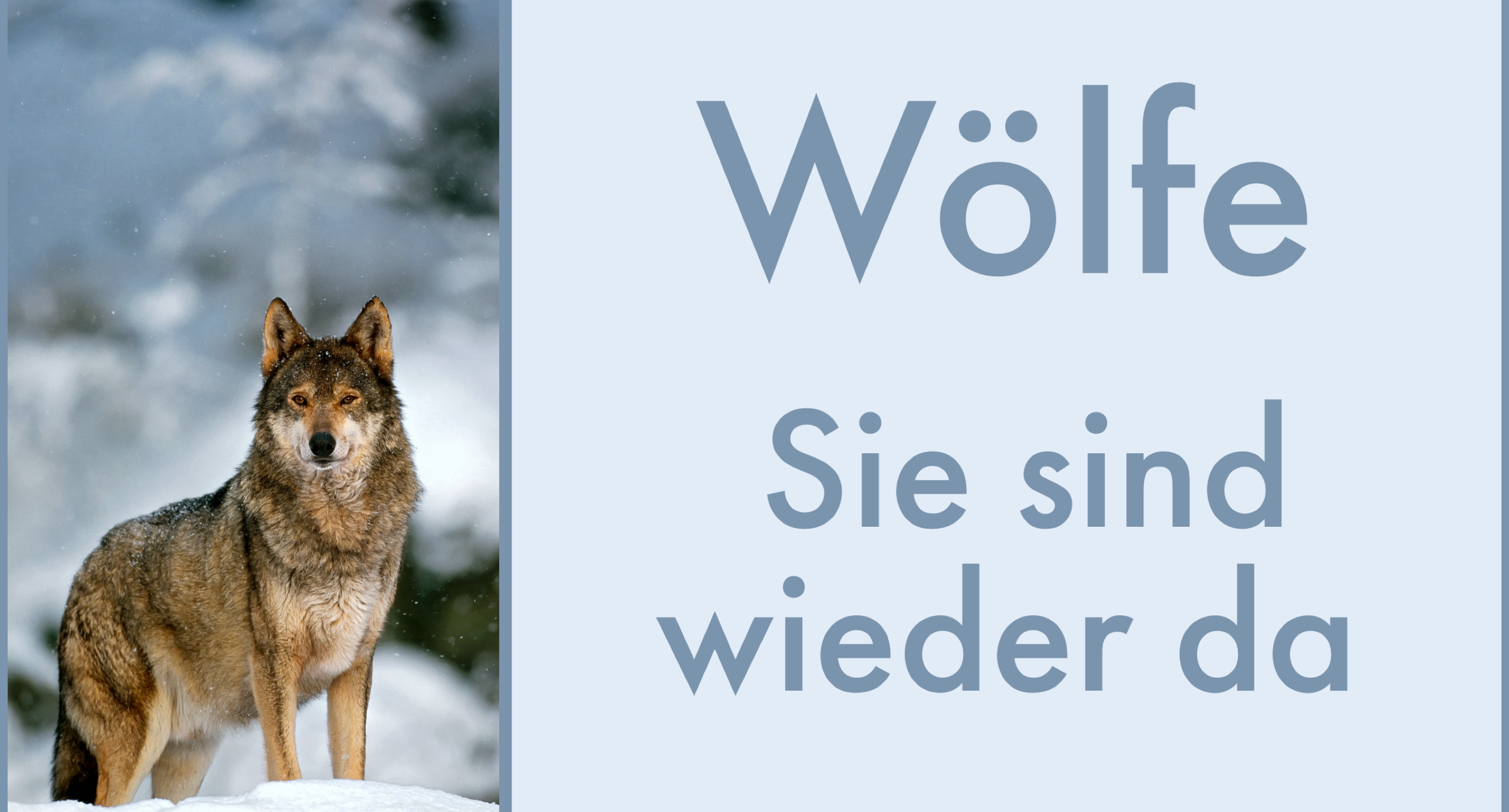 Wölfe