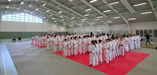 Respektabler 3. Platz beim Landesentscheid Judo