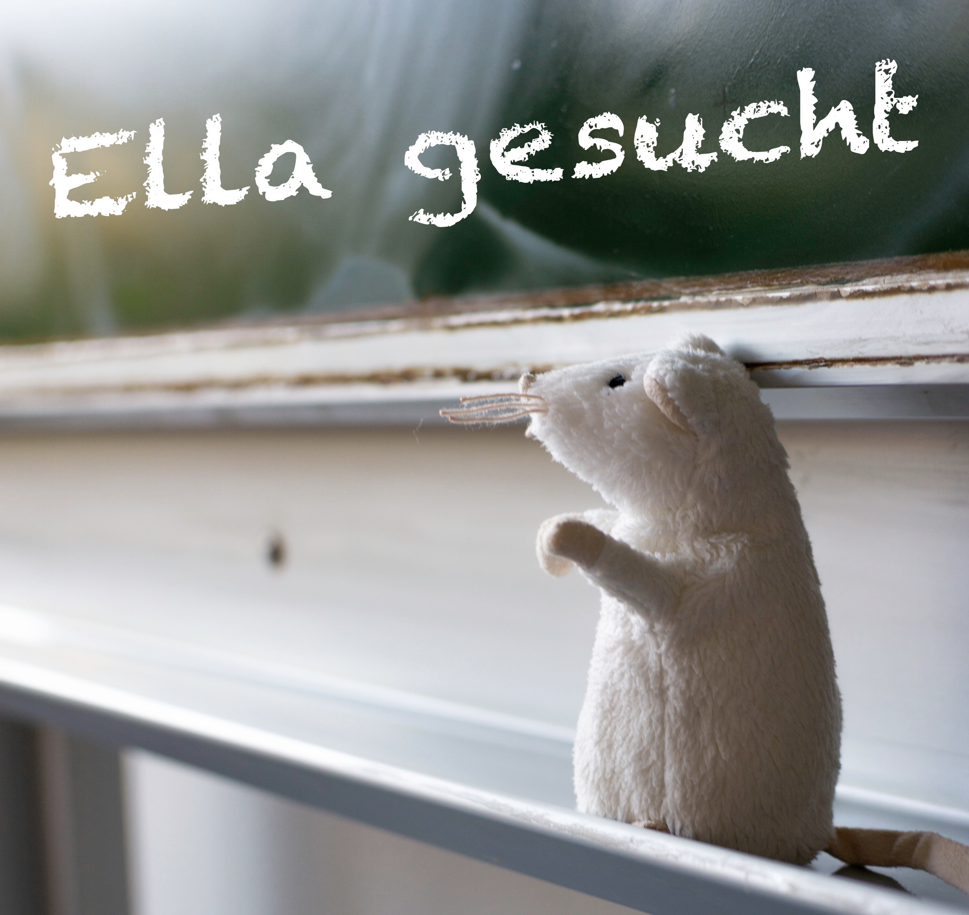 Ella gesucht