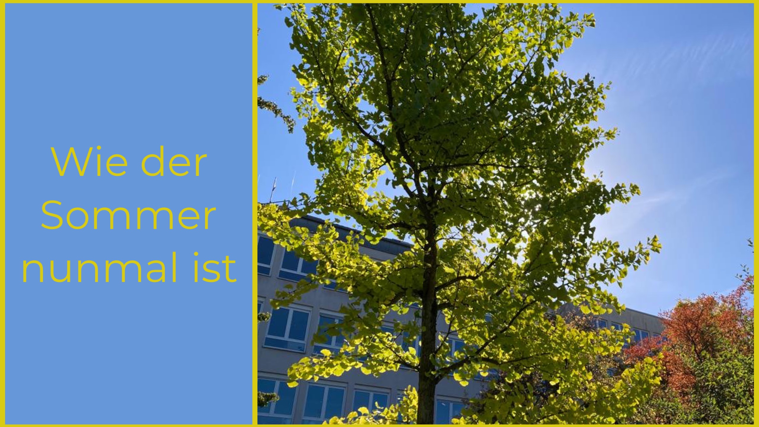 Wie der Sommer nunmal ist