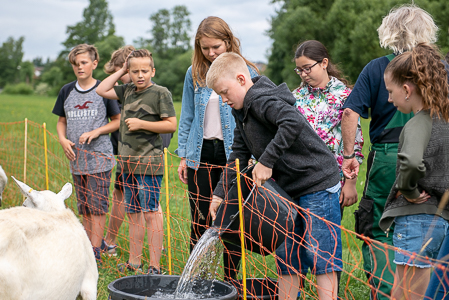 Bild-Vorschau