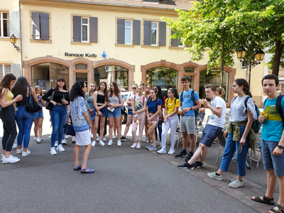 Bild-Vorschau